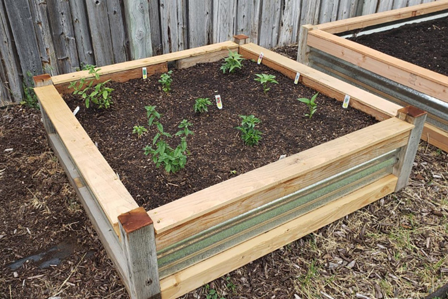 Raised Garden Bed