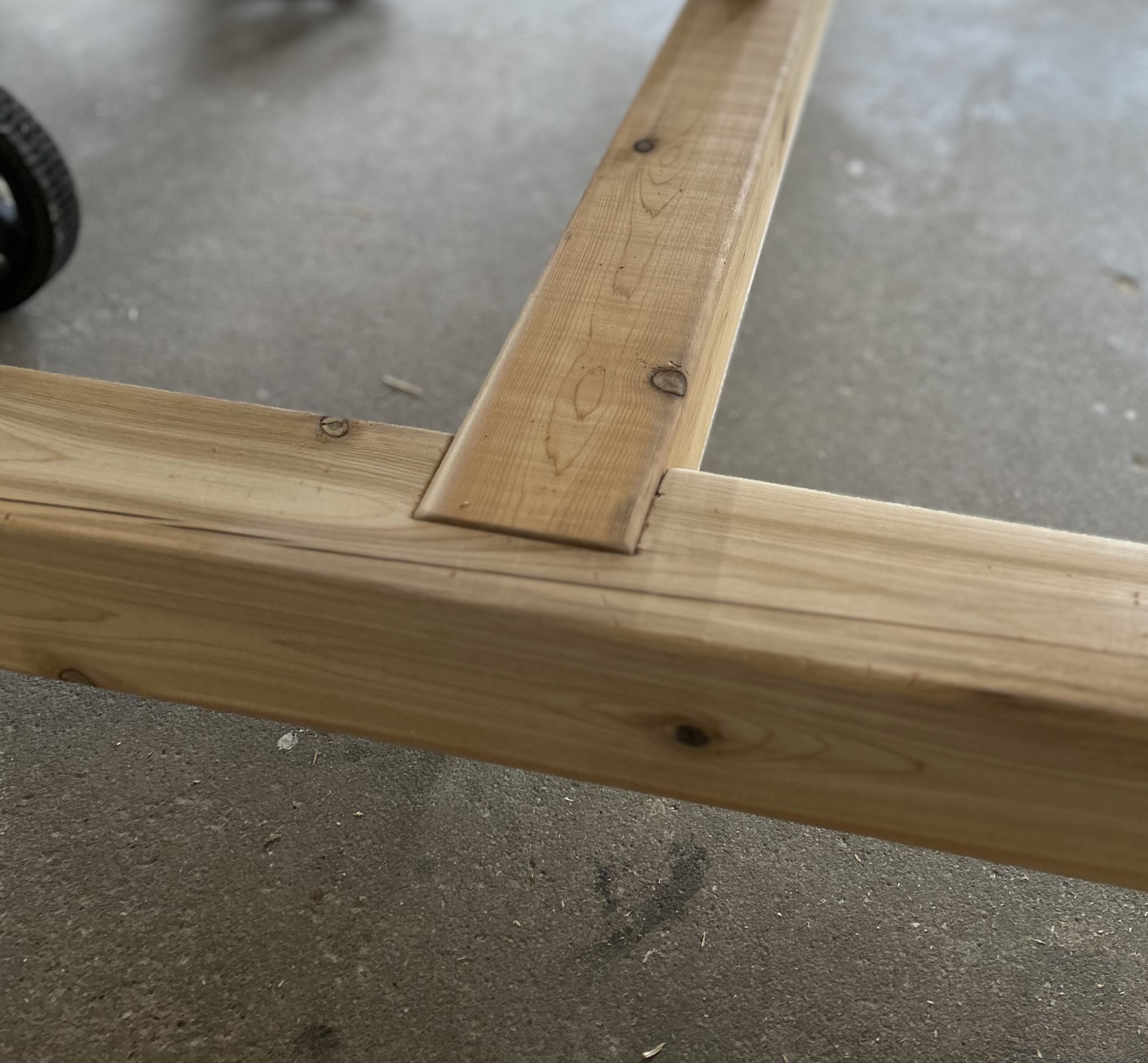 Step 5