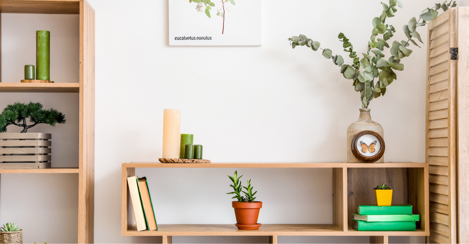 Shelves