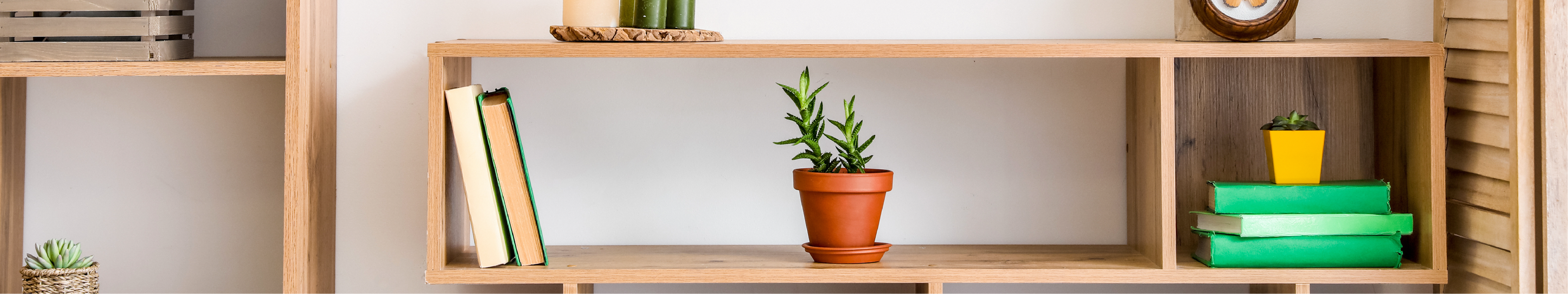 Shelves