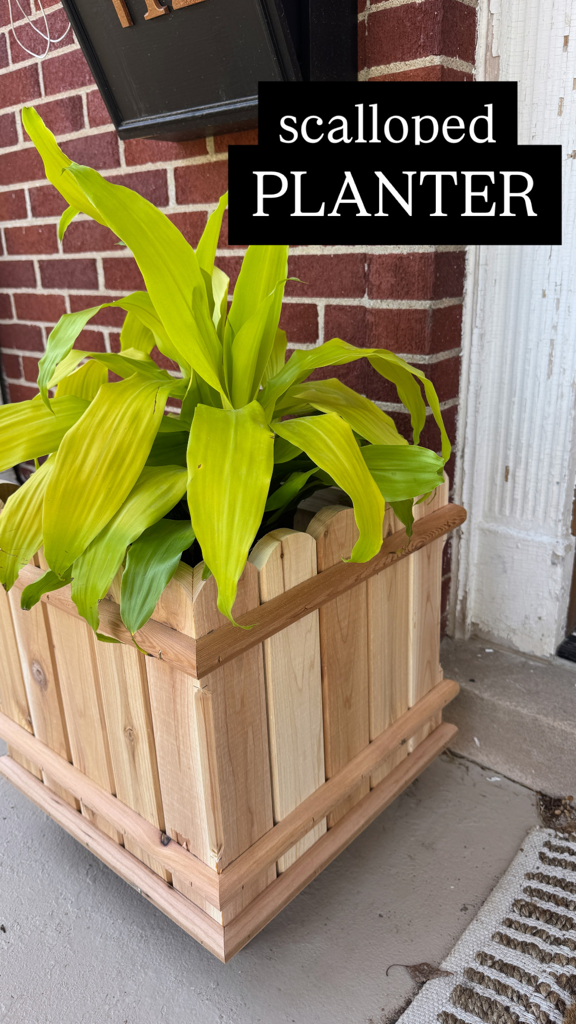 diy-scalloped-planter-tutorial-reality-daydream
