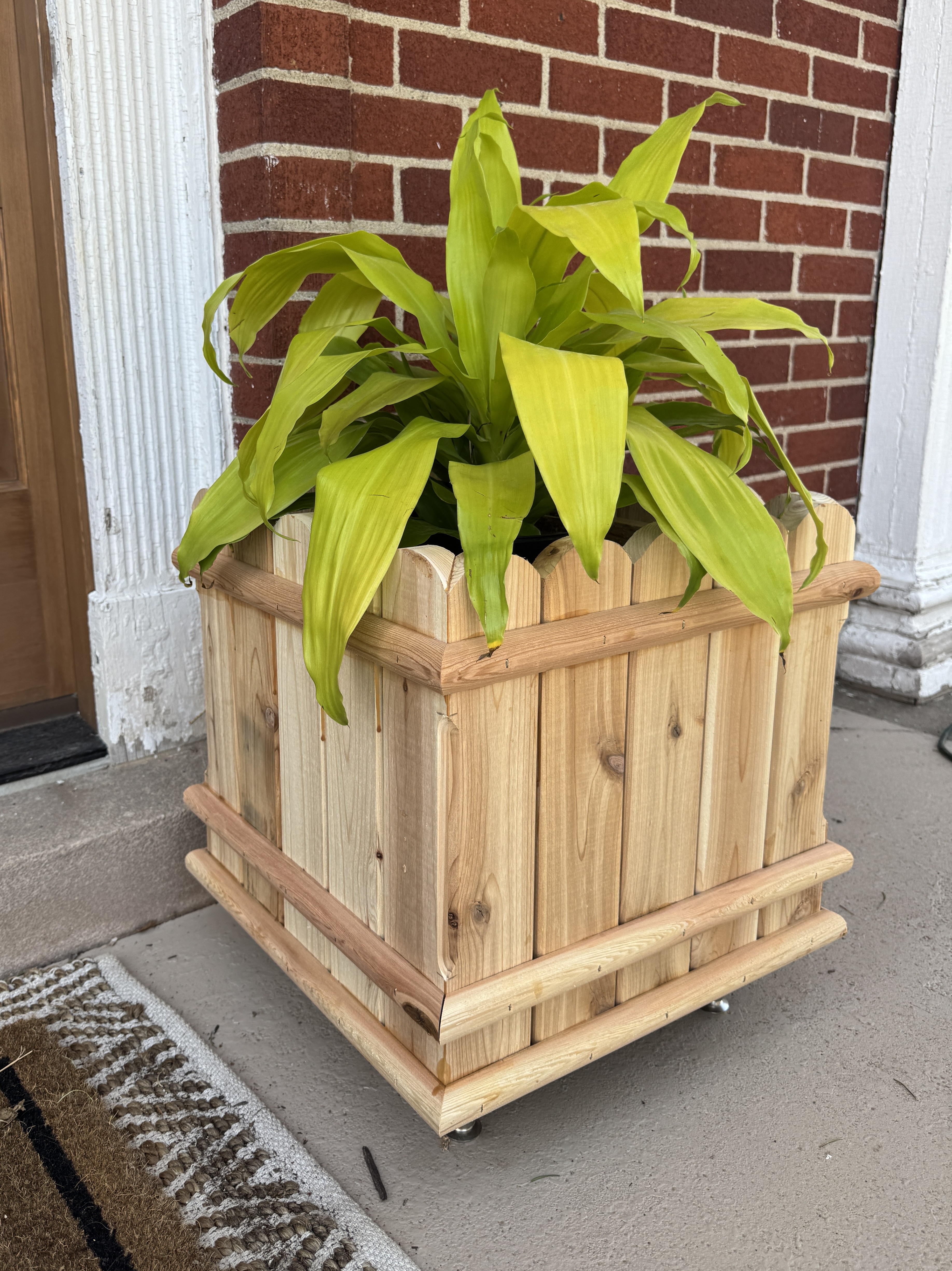 Scalloped Planter