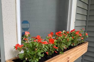 DIY Window Flower Box Plans (Under $50!)