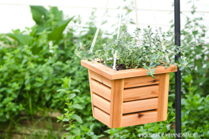 Tapered Hanging Planter